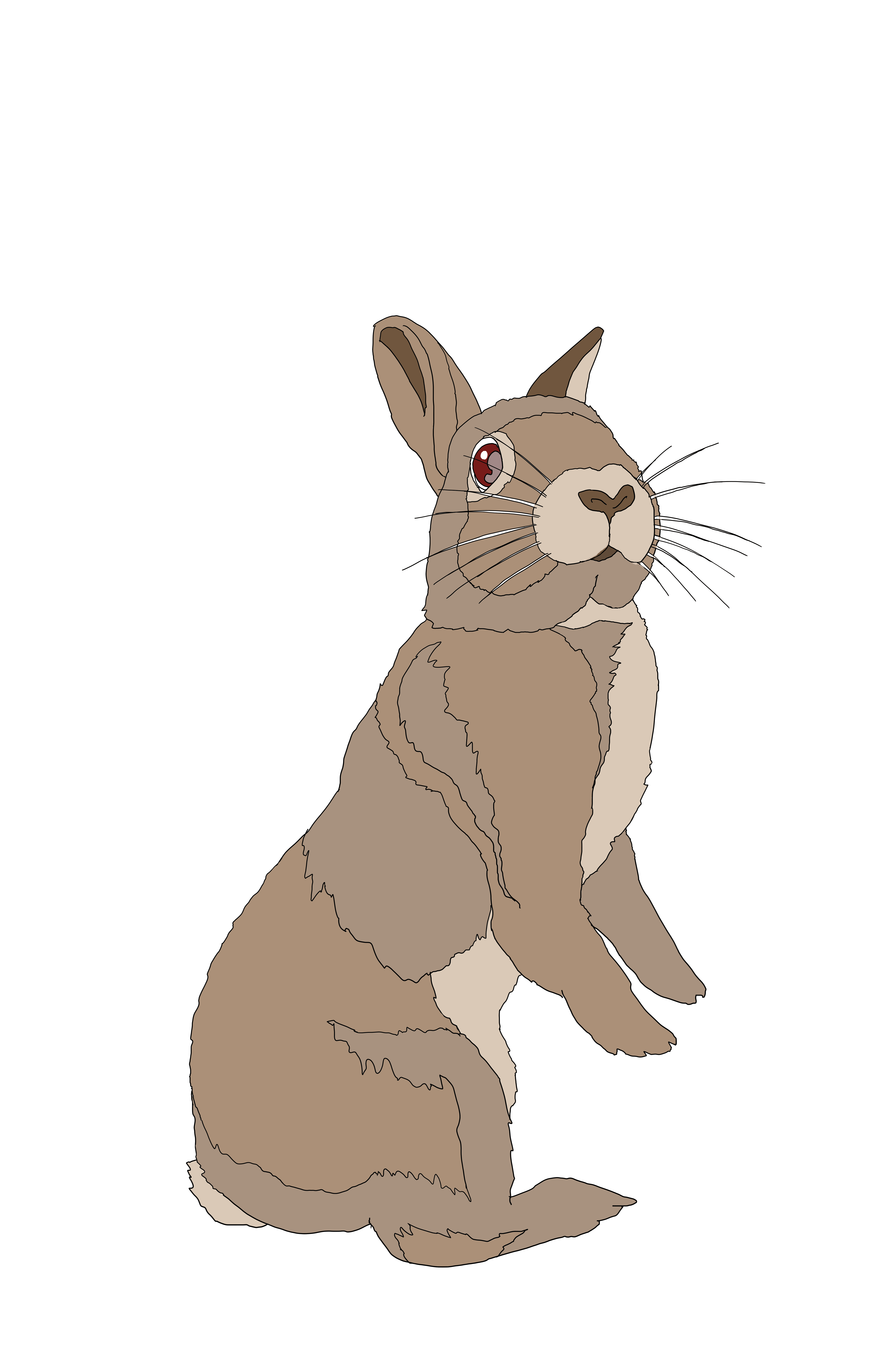 Rabbit Brown